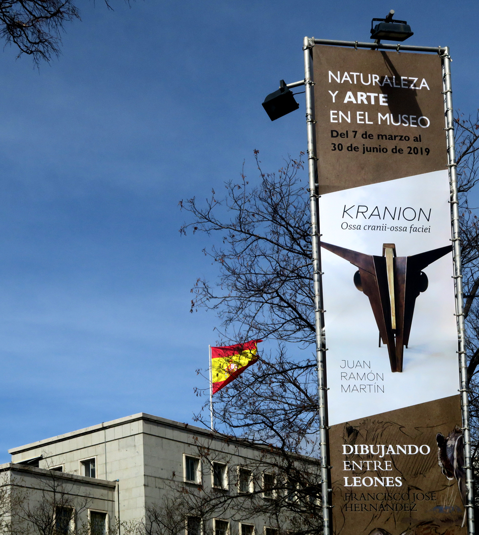 Exposición Kranion en el Museo Nacional de Ciencias Naturales